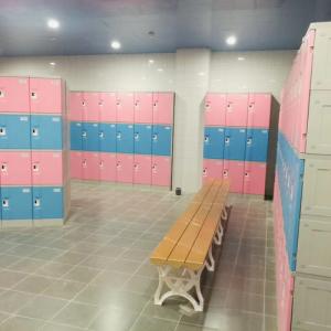 More Info About ABS Plastic Lockers